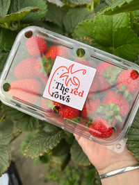 The Red Rows Strawberry Punnet