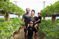 The Red Rows Strawberry Punnet