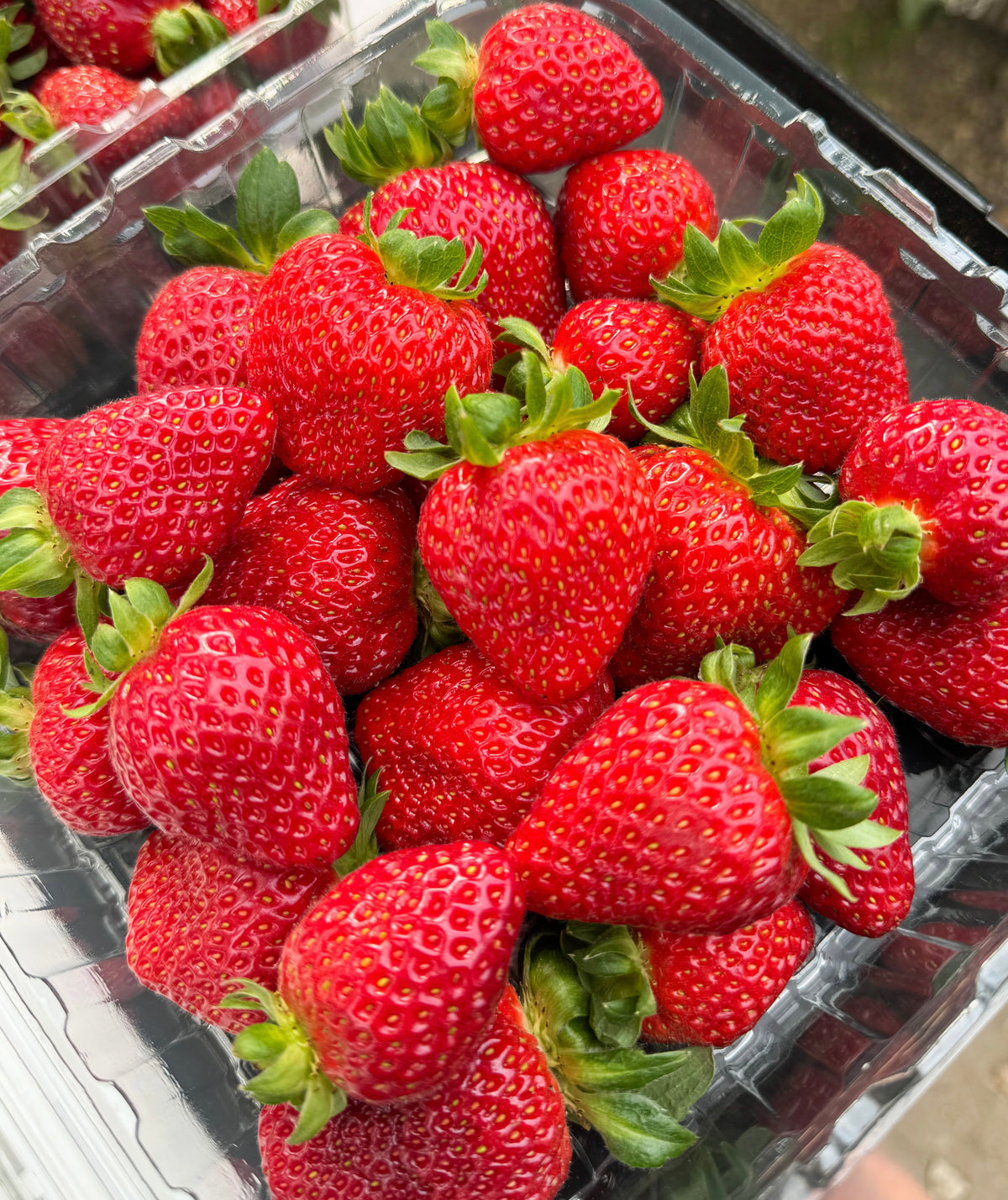 The Red Rows Strawberry Punnet