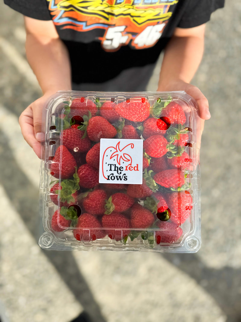 The Red Rows Strawberry Punnet