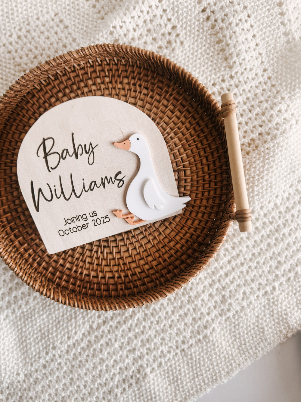 Goose Baby Announcement Plaque