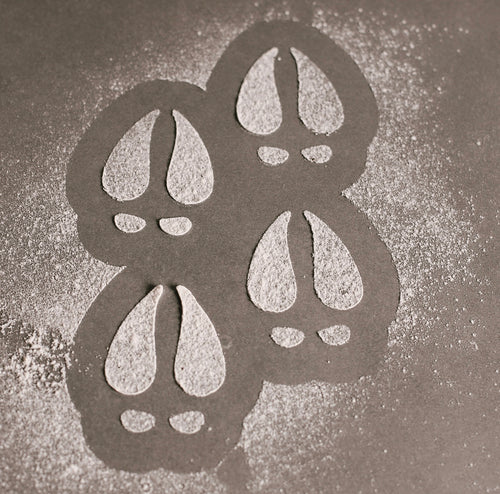 Reindeer Footprints