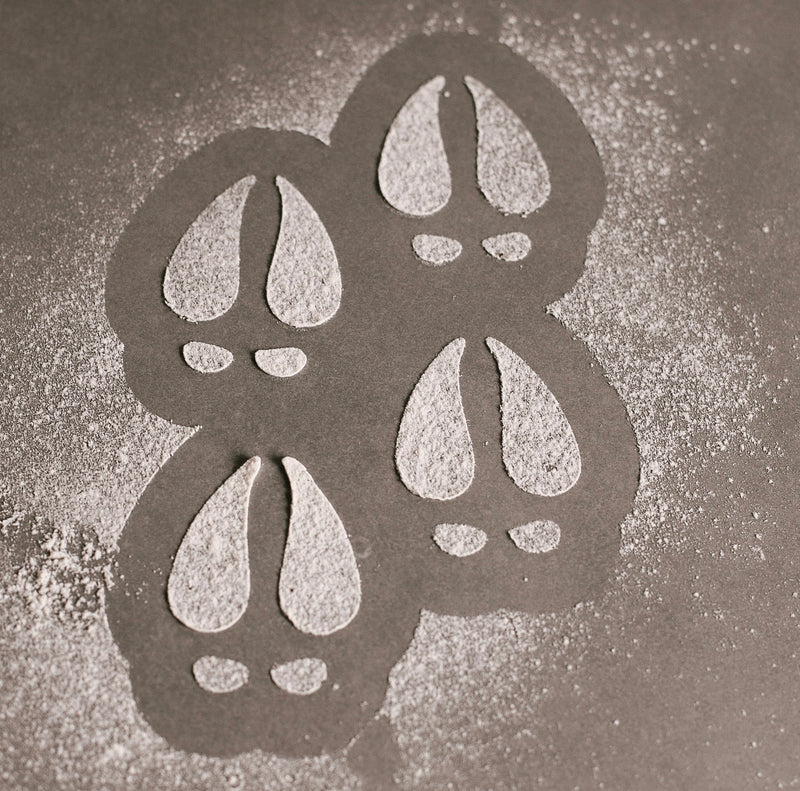 Reindeer Footprints